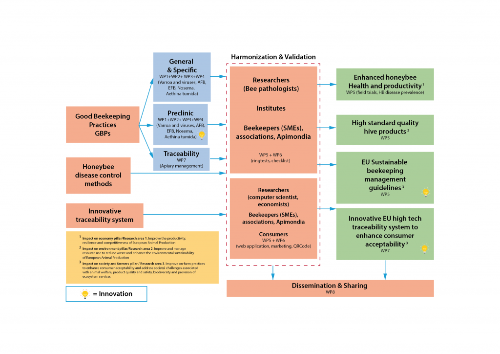 BPractices Project Scheme