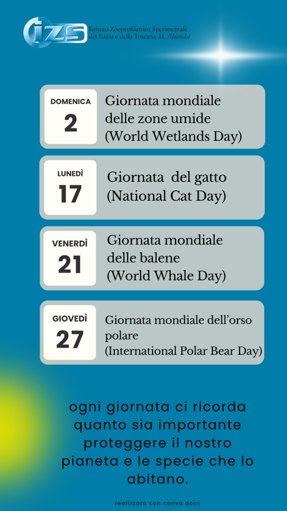 Febbraio ci offre quattro preziose occasioni per riflettere sulla tutela dell’ambiente e della biodiversità. Dalle zone umide, fondamentali per gli ecosistemi acquatici, alle maestose balene che popolano i nostri oceani, fino ai simpatici gatti e agli orsi polari minacciati dai cambiamenti climatici. Ogni giornata ci ricorda l’importanza di proteggere il nostro pianeta e le specie che lo abitano.