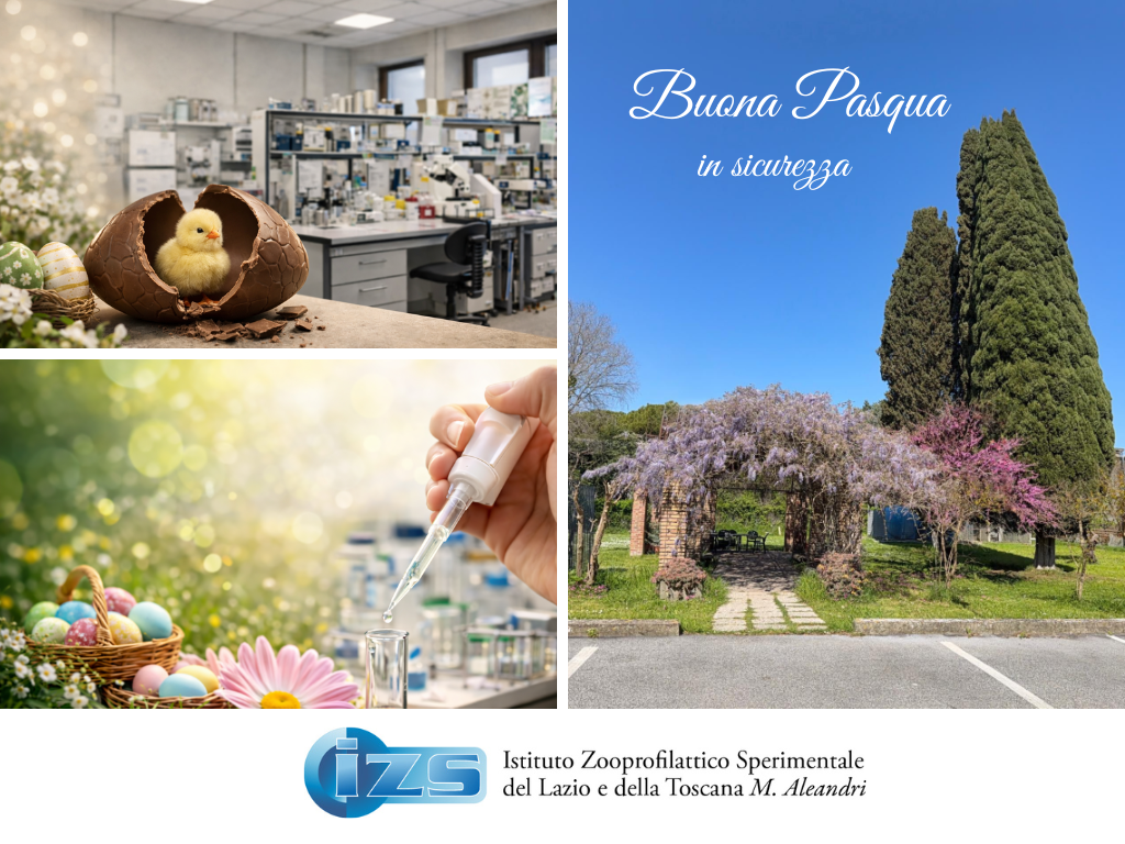 Immagine Pasqua