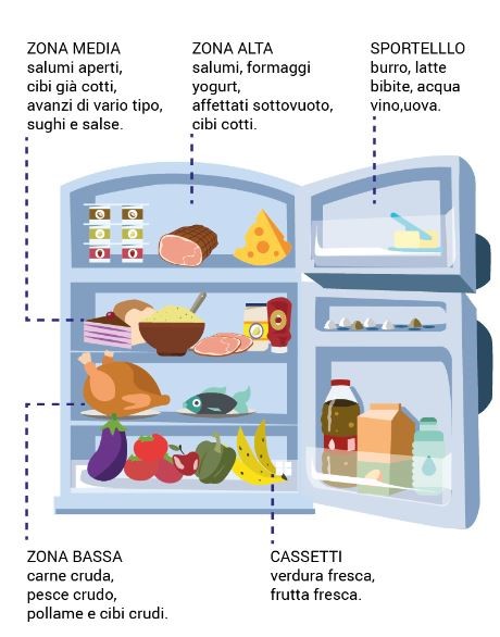 Alimenti nel frigo