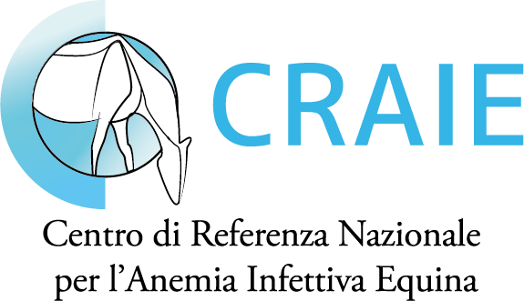 CRAIE