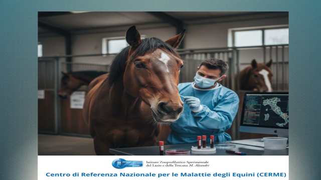 Influenza Equina: perché è importante monitorarla.